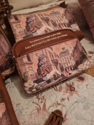 Lote de bolsos Sweet candy