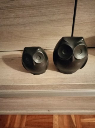Coppia di gufi decorativi neri opachi