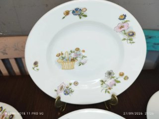 LIMOGES 8 Platos Llanos Vintage Porcelana
