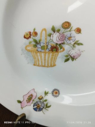 LIMOGES 8 Platos Llanos Vintage Porcelana