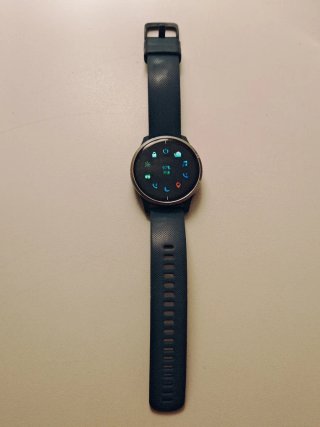 Garmin Venu