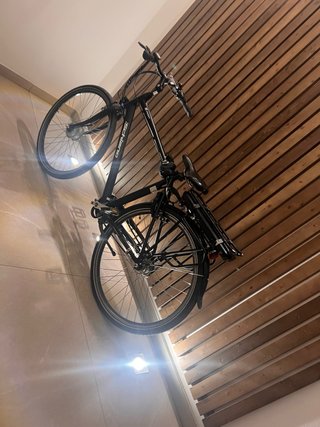 Bicicleta eléctrica Schiano