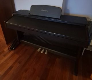 Piano Digital Ringway TG-8860 con Pedalera