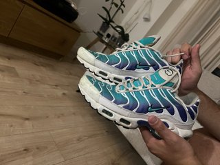 Nike Air Max TN Persian Violet
