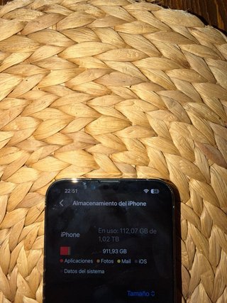 iPhone 13 Pro Max (Buen estado)