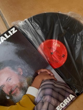 Lote 36 Vinili TUTTI I VINILI DEL MIO PROFILO