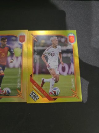 3 Cromos Panini Pasión España