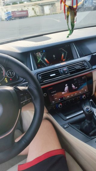 BMW Serie 5 2010