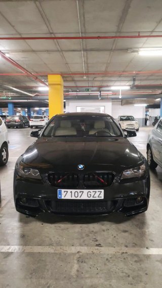 BMW Serie 5 2010