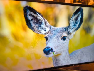 TV Samsung 43 pulgadas como nueva.