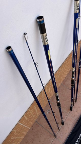 2 Cañas Surfcasting Cinnetic Skyline 425