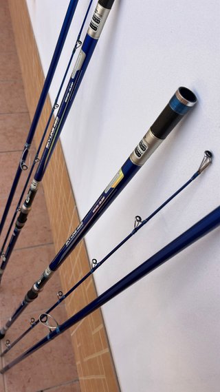 2 Cañas Surfcasting Cinnetic Skyline 425