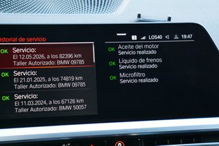 BMW Serie 3 320d Sport Pack M Performance Carbono