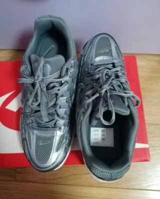 Zapatillas Nike P6000 Grises y Plateadas