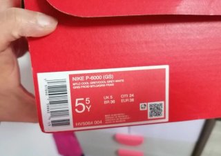 Zapatillas Nike P6000 Grises y Plateadas