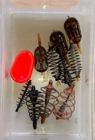 Pesca