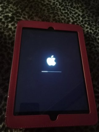 iPad Apple