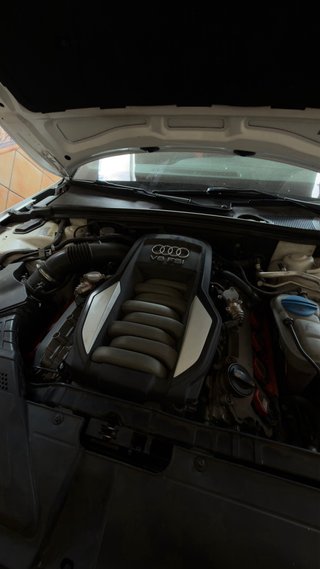 Audi S5 2010