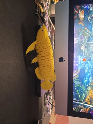 Figura de Pez Arowana 3D Articulada