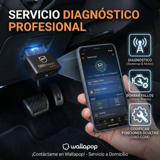 Diagnosis Activación funciones oculta Borrar fallo