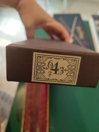 Set Harry Potter: Libro y Varitas