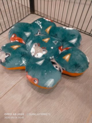 Camas acolchadas para mascotas