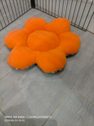 Camas acolchadas para mascotas