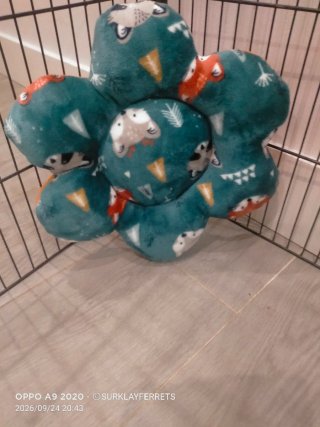 Camas acolchadas para mascotas