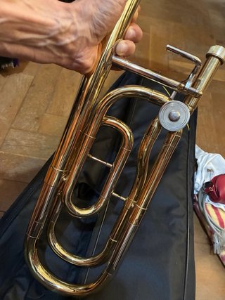 Trombón de Vara con Transpositor