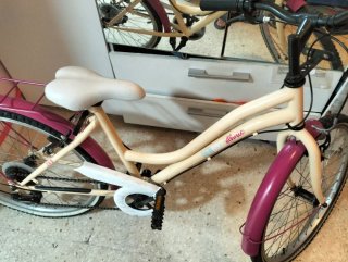 Bicicleta Niña 24 Ethnic Bike