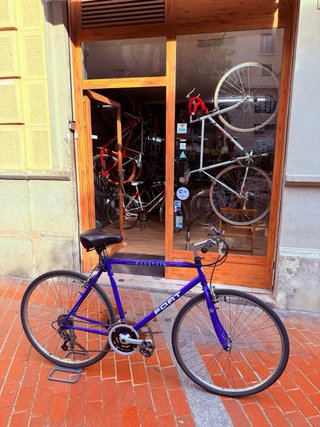 Bicicleta de Ciudad FORT Azul