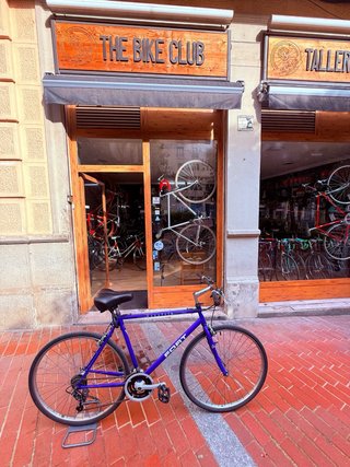 Bicicleta de Ciudad FORT Azul