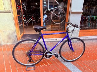 Bicicleta de Ciudad FORT Azul
