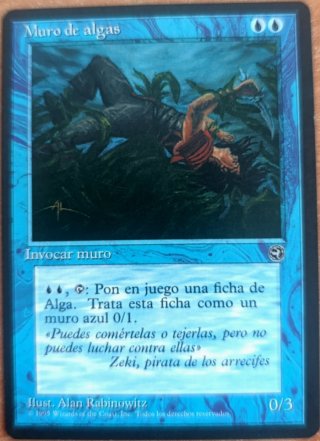 Carta Magic Muro de algas tierras natales homeland