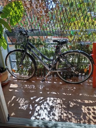 Bicicleta Paseo con Canasta