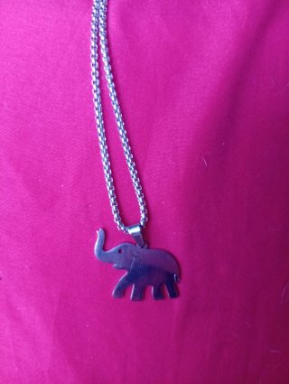 Collar de Elefante en Acero Inoxidable