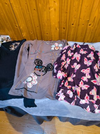 Lote de camisas variadas