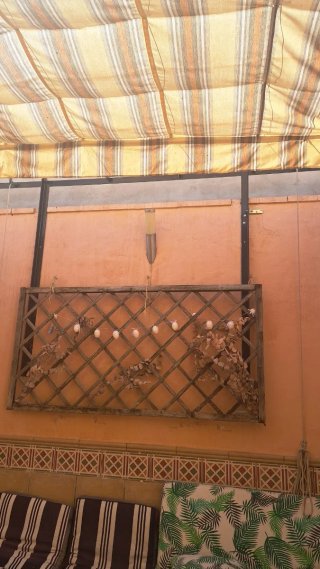 Toldo Rayas Hierro