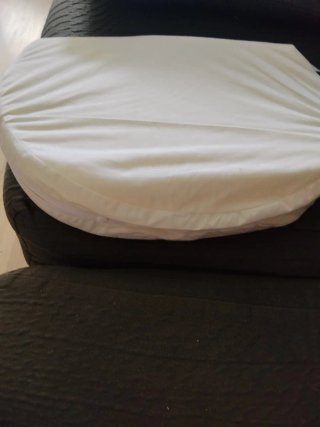 Capazo Bugaboo y cojín antiflujo de regalo