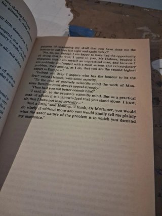 The Hound of the Baskervilles