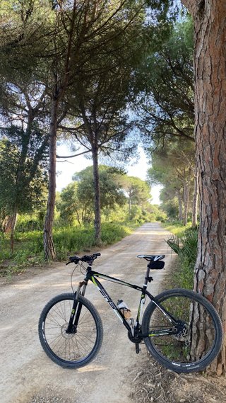 Bicicleta de Montaña Trek Terrana