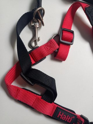 Arnés Halti Talla M