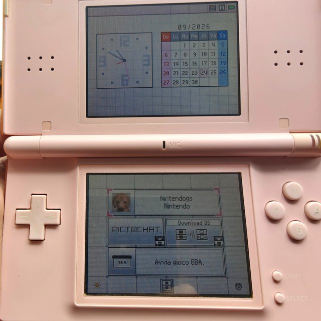 Console Nintendo DS Lite Rosa con Cavo e Pennino