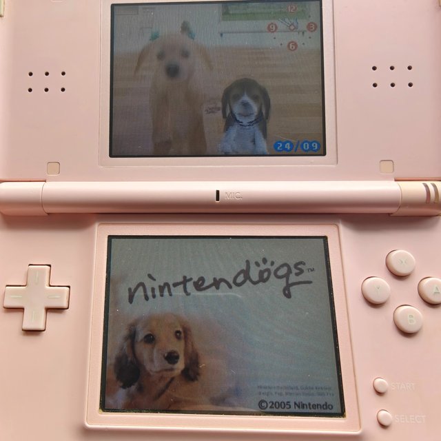 Console Nintendo DS Lite Rosa con Cavo e Pennino