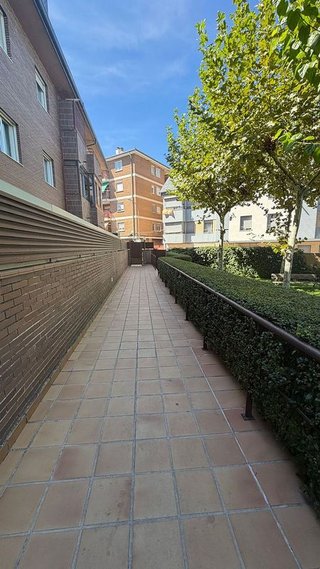 Fotografía 3