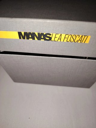 Sandalias Manaslea Foscati Plateadas