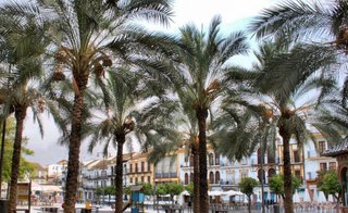 Local comercial en alquiler en Centro en Utrera