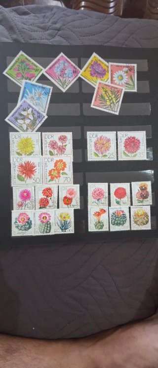 Colección de Sellos Antiguos: DDR y Mongolia