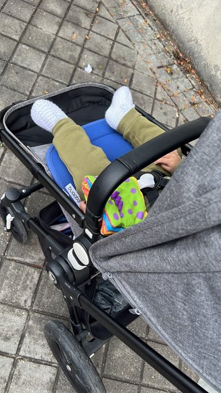 Carrito Bugaboo Cameleon 3