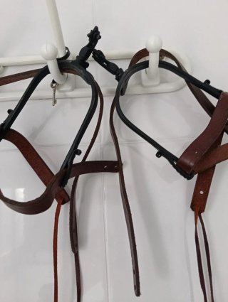 Espuelas de fragua con correas